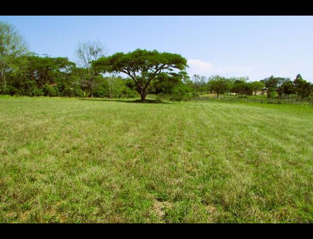 LAND FOR SALE IN WHITE RIVER ESTATES